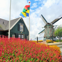 Spacious Holiday Home in Beemster near Windmill, 皮尔默伦德 — 照片 2
