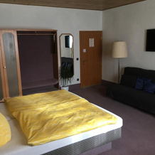 Hotel & Restaurant Hessischer Hof, Hainburg — photo 4