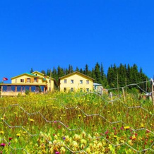 Kumbet Chalet, 德雷利 — 照片 4