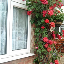 Rosa's BB, Cambridge — photo 4