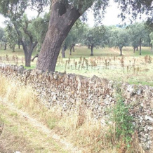 Huerta del Sol, Linares de la Sierra — photo 3