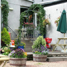 Carronbridge Guest House, Денни — фото 3