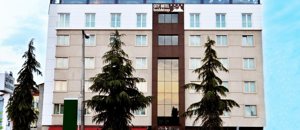 Baliktasi City Hotel, Орду — фото 1