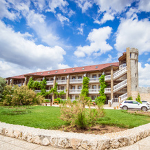 Zamok Viking Hotel, 兹纳缅斯科耶 — 照片 2