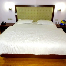 Rajvi Palace by sky stays Hotel, Mahesana — photo 5