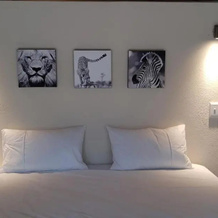Pata Pata House, 马洛斯公园 — 照片 3