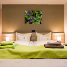 Kräuterhotel Garni zur Klostergrotte, 格拉姆梅塔尔 — 照片 4
