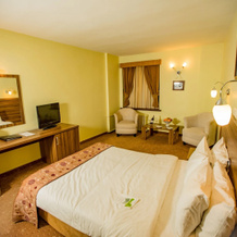 Dedeman Palandoken Resort Hotel, Erzurum — photo 3