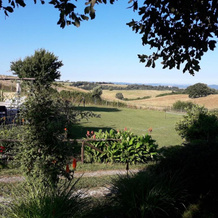 Agriturismo Cantinaccia Di Sopra, Тревиньяно — фото 4