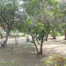 Chambres La Falcia - Figari - Corse Du Sud, 菲加里 — 照片 5