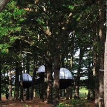 Les Nids Du Parcabout, Груа — фото 5