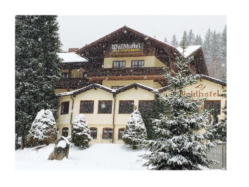 Waldhotel Seebachschleife, Байериш-Айзенштайн — фото 1