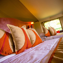 Mara Engai Wilderness Lodge, 马赛马拉国家保护区 — 照片 3