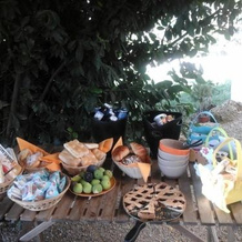 Nonna Litta, Albenga — photo 3
