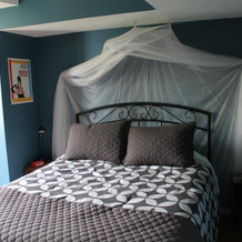 Gateway B&B, Clearwater — photo 3