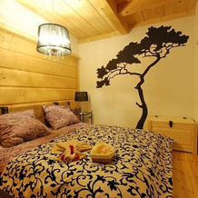 Apartamenty Przy Dolinie Kościeliskiej, 科希切利斯科 — 照片 5