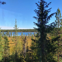 Aurora Lodge, Арвидсьяур — фото 4