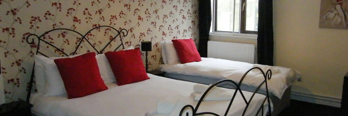 The Swan at Stoford, 斯托福德 — 照片 1
