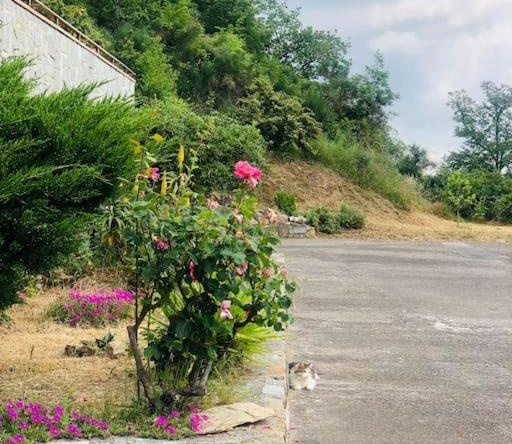 Appartamento In Residence Nella Zona Incantevole, Тестико — фото 1