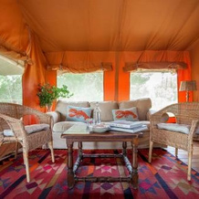 Glamping Dehesa de las Yeguas, Puerto Real — photo 3