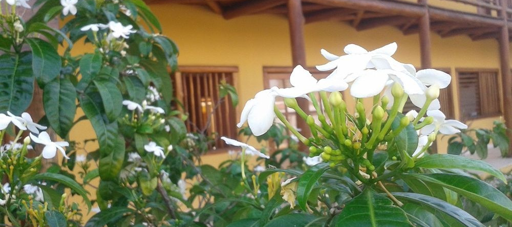 Pousada Angá, 埃斯普拉纳达 — 照片 1