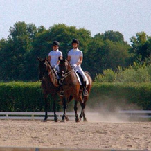 Cavallo DI Fiori - Agriscuderia, Nepi — photo 5