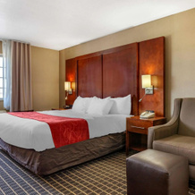 Comfort Suites Delavan - Lake Geneva Area, Делаван — фото 3