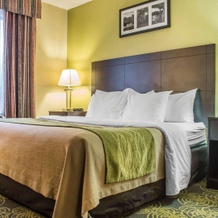 Comfort Hotel & Suites, Питерборо — фото 5