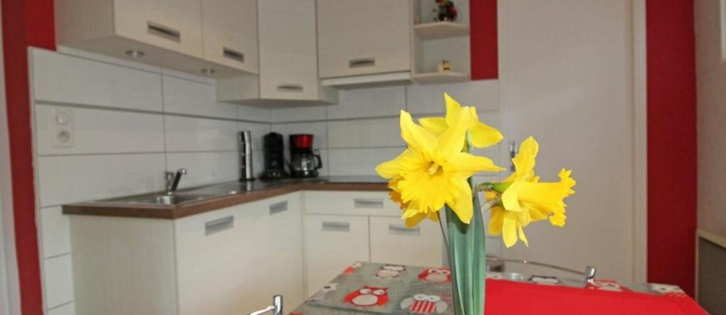 Chalet Ban-sur-Meurthe-Clefcy, 4 pièces, 5 personnes - FR-1-589-33, 默尔特河畔邦-克莱夫西 — 照片 1