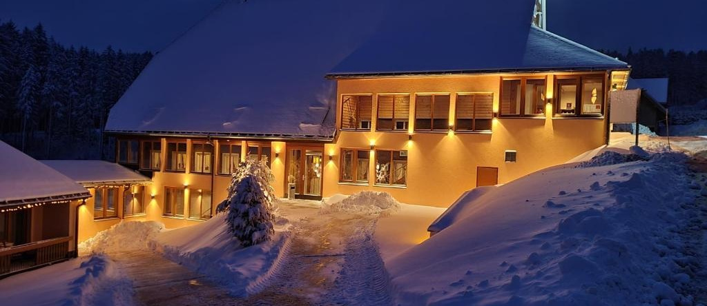 Landhotel Thälerhäusle Ochsen, Фуртванген — фото 1