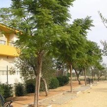 Apartamentos Turísticos los Girasoles, 埃斯帕尔蒂纳斯 — 照片 5