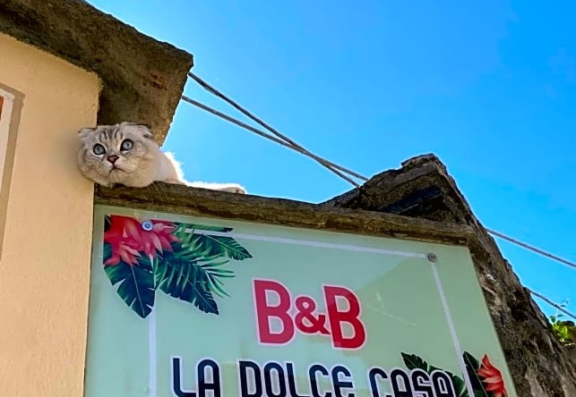 B&B La Dolce Casa, Кремия — фото 1