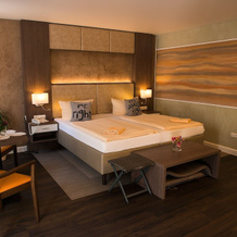 Flair Waldhotel Mellestollen, 萨尔费尔德高地 — 照片 4
