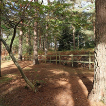 The Chalet, 芬当 — 照片 4
