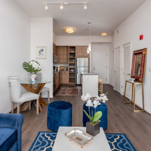 PDC Luxury Apt Tysons Corner, McLean — photo 5