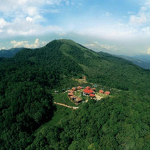 Wild Planet Resort, Ниламбур — фото 3
