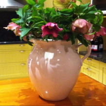 The Old Manse Boutique b & b, 马丁堡 — 照片 4
