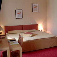 Brit Hotel Essentiel Pontivy-Robic, 蓬蒂维 — 照片 3