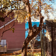 Happy House Bogliasco, Больяско — фото 3