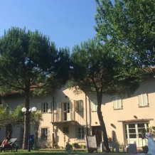 B&B Ca del Gallo in Langa, 曼戈 — 照片 5