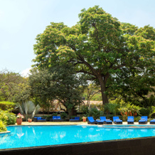Radisson Blu Plaza Hotel Mysore, 迈索尔 — 照片 5