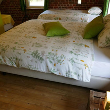 B&B La ferme de Berwausault, 埃尔韦 — 照片 5