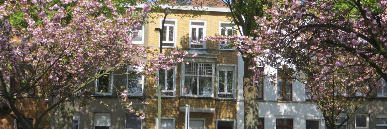 Nid Cosy, Tournai — photo 1
