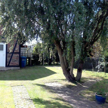 Ferienwohnung Otto, Rappin — photo 4