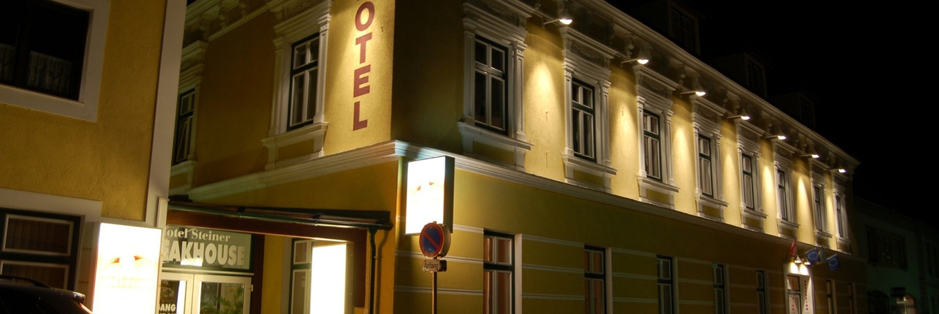 Business & Holiday Hotel Steiner, 埃尔劳夫河畔普格施塔尔 — 照片 1