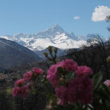 Agriturismo Lciabot, Паэзана — фото 2