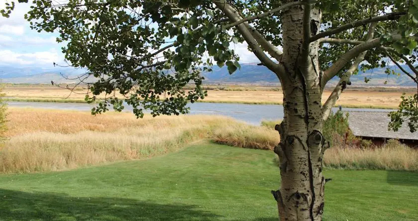 Teton Valley Lodge, 特托尼亚 — 照片 1