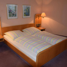 Hotel & Gasthof Grüner Baum, 奈拉 — 照片 3
