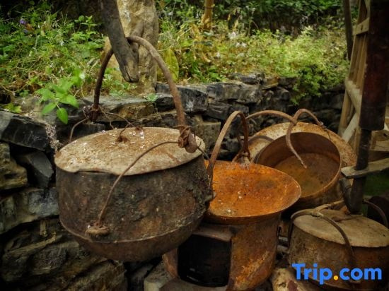 Selenium Tea Ecological Garden, Округ Эньши — фото 1
