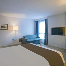 Holiday Inn Lyon Vaise By Ihg, Тассен-ла-Деми-Люн — фото 5